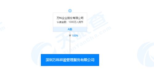 每日新注冊公司精選 | 2019年11月19日 軟件外包服務(wù)領(lǐng)域的創(chuàng)新力量
